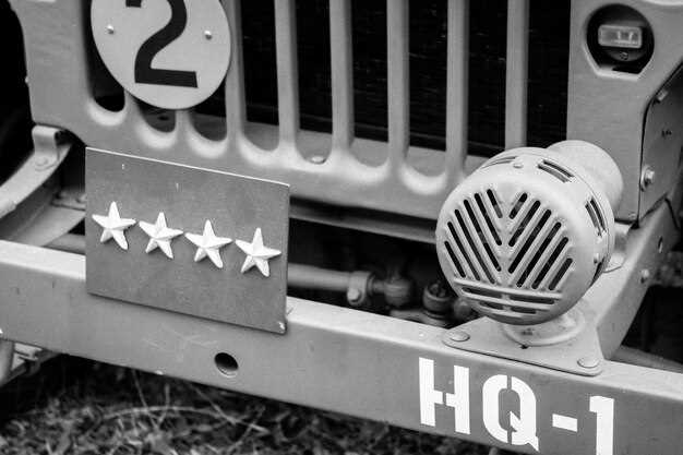 ASX 16 2010: на что обратить внимание и отзывы владельцев — обзор