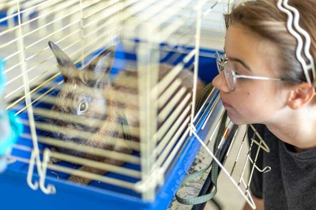 Дезинфекция кондиционера: как сделать правильно для здоровья и чистоты