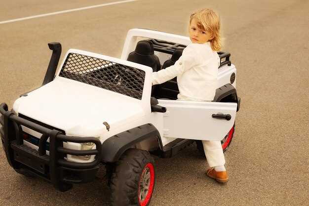 Общие сведения о Lynk Co Z10