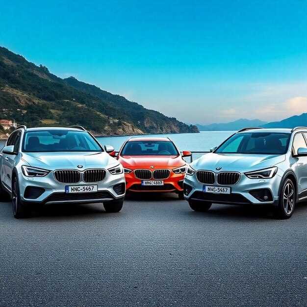 История и эволюция модели DS 4