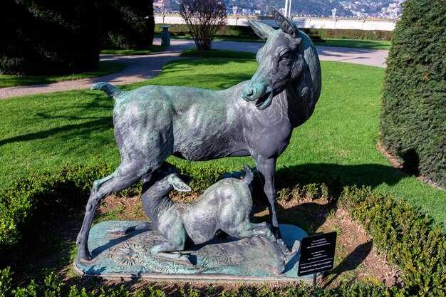 Кузов с фиберглассом и рама: сочетание стиля и легкости