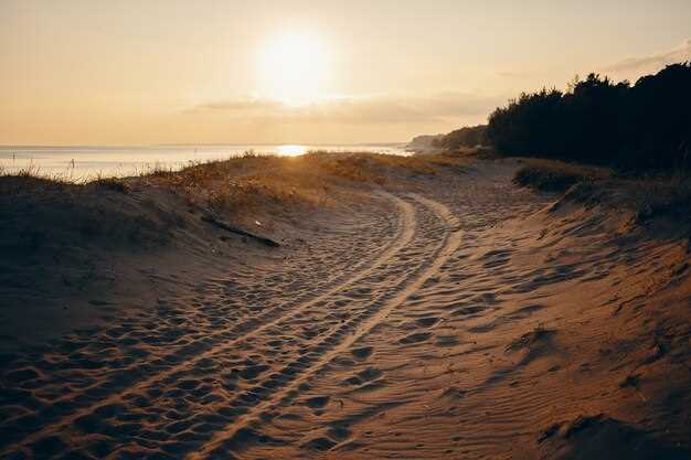 «Шелковый путь»-2024: Огонь, песок и камни — rваные колеса и крушение надежд