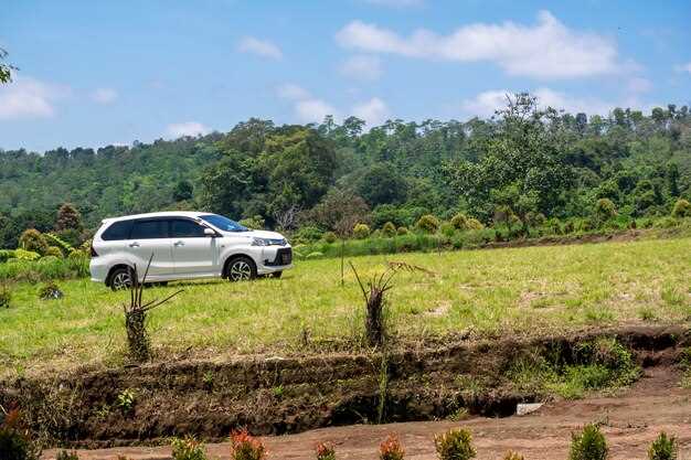 Батареи нового поколения: как выбрать оптимальный вариант